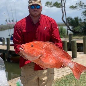 Meet your Posher, Jacob